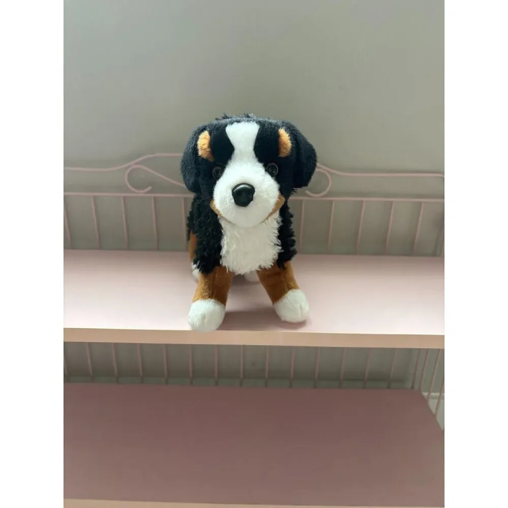 Douglas miranda bernese mountain dog